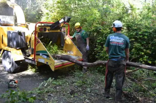 tree services Medaryville